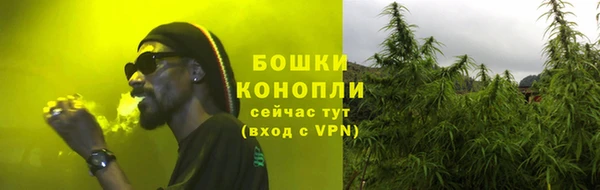 гидропоника Белокуриха
