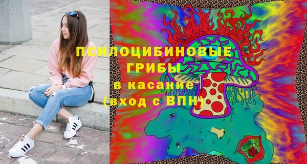 эйфоретик Баксан
