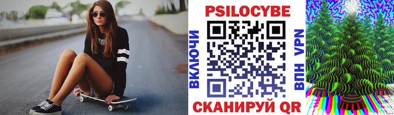 Псилоцибиновые грибы прущие грибы  дарк нет наркотические препараты  Новоалександровск 